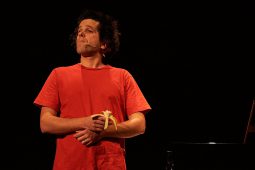 Concert, Pierre-Yves Plat, Spectacle