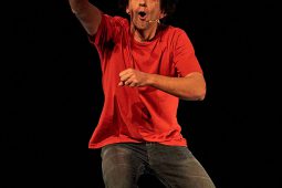Concert, Pierre-Yves Plat, Spectacle