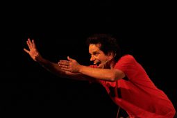 Concert, Pierre-Yves Plat, Spectacle