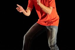 Concert, Pierre-Yves Plat, Spectacle