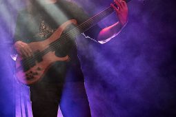 Concert, Popa Chubby