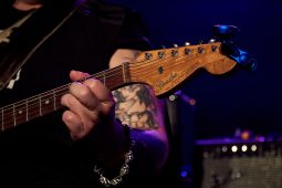 Concert, Popa Chubby