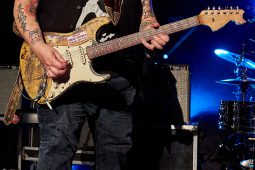 Concert, Popa Chubby