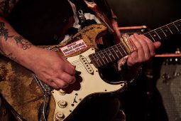 Concert, Popa Chubby