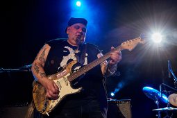 Concert, Popa Chubby