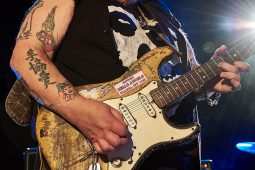 Concert, Popa Chubby