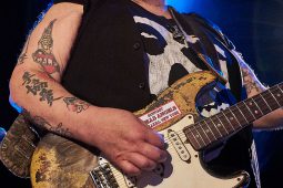 Concert, Popa Chubby