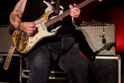 Concert, Popa Chubby
