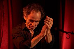 Aline Chevalier & Gilles Belouin, Concert