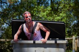 Cie Du Grenier au Jardin, Spectacle