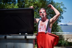 Cie Du Grenier au Jardin, Spectacle