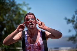 Cie Du Grenier au Jardin, Spectacle