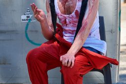Cie Du Grenier au Jardin, Spectacle