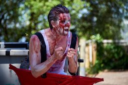 Cie Du Grenier au Jardin, Spectacle