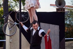 La Folle Allure, Spectacle