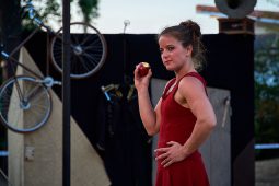 La Folle Allure, Spectacle