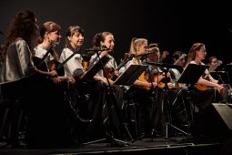 Les Cordes d'Argent, Concert