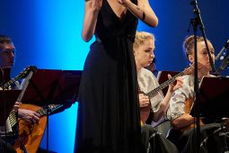 Concert, Les Cordes d'Argent