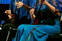Concert, Les Cordes d'Argent