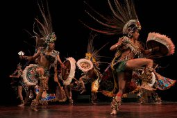 C'Acati de Puebla, Concert, Spectacle