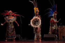 C'Acati de Puebla, Concert, Spectacle