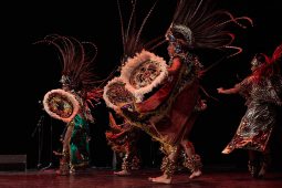 C'Acati de Puebla, Concert, Spectacle