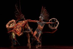 C'Acati de Puebla, Concert, Spectacle