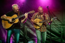 Carré Manchot, Concert