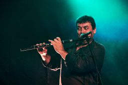 Carré Manchot, Concert
