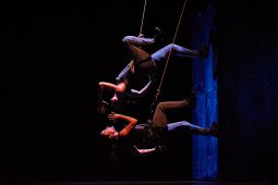 Cie Lève un peu les bras, Spectacle