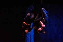 Cie Lève un peu les bras, Spectacle