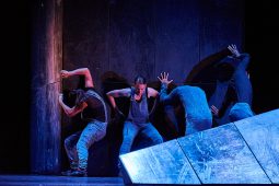 Cie Lève un peu les bras, Spectacle