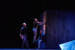 Cie Lève un peu les bras, Spectacle