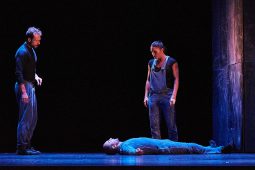 Cie Lève un peu les bras, Spectacle