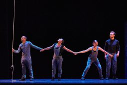 Cie Lève un peu les bras, Spectacle