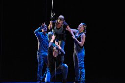 Cie Lève un peu les bras, Spectacle