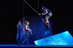 Cie Lève un peu les bras, Spectacle