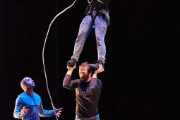 Cie Lève un peu les bras, Spectacle