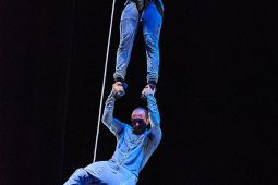 Cie Lève un peu les bras, Spectacle