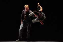 Cie Lève un peu les bras, Spectacle