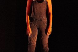 Cie Lève un peu les bras, Spectacle