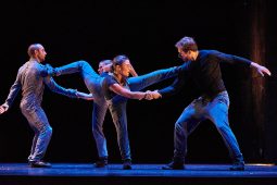 Cie Lève un peu les bras, Spectacle