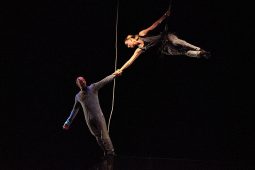Cie Lève un peu les bras, Spectacle