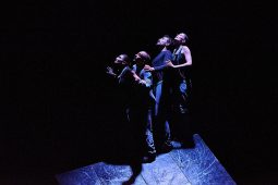 Cie Lève un peu les bras, Spectacle