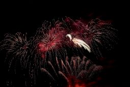 Festival pyrotechnique, USA