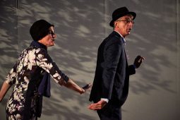 L'art Osé, Spectacle