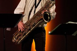 Sandy Anna Olivier, Concert