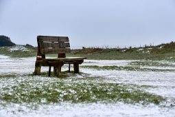 Tourisme, Paysage, Neige