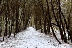 Tourisme, Paysage, Neige