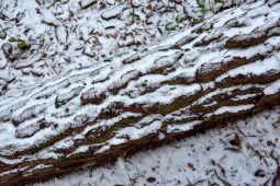 Tourisme, Paysage, Neige